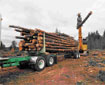 forestry sector