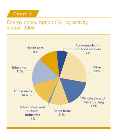 Energy consumption (%), by activity sector, 2004.