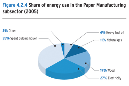 Share of energy use in the Paper Manufacturing subsector (2005).