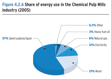 Share of energy use in the Chemical Pulp Mills industry (2005).