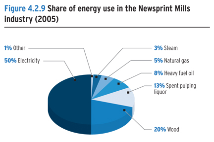 Share of energy use in the Newsprint Mills industry (2005).
