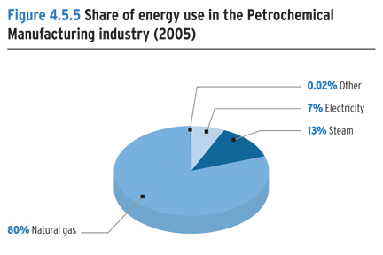 Share of energy use in the Petrochemical Manufacturing industry (2005).
