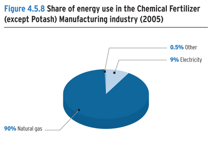 Share of energy use in the Chemical Fertilizer (except Potash) Manufacturing industry (2005).