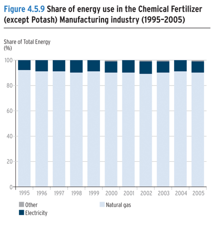 Share of energy use in the Chemical Fertilizer (except Potash) Manufacturing industry (1995-2005).