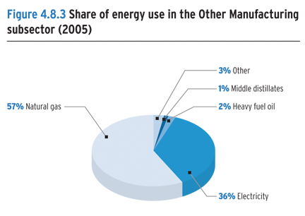 Share of energy use in the Other Manufacturing subsector (2005).