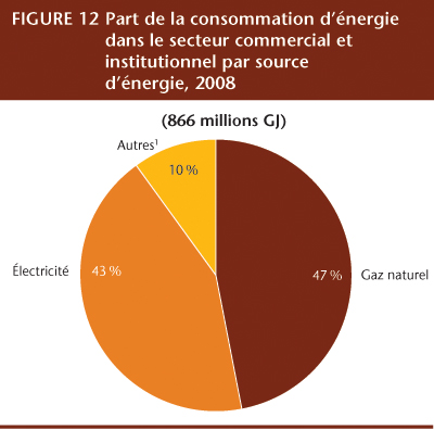 FIGURE 12 Part de la consommation d&rsquo;&eacute;nergie dans le secteur commercial et institutionnel par source d&rsquo;&eacute;nergie, 2008.